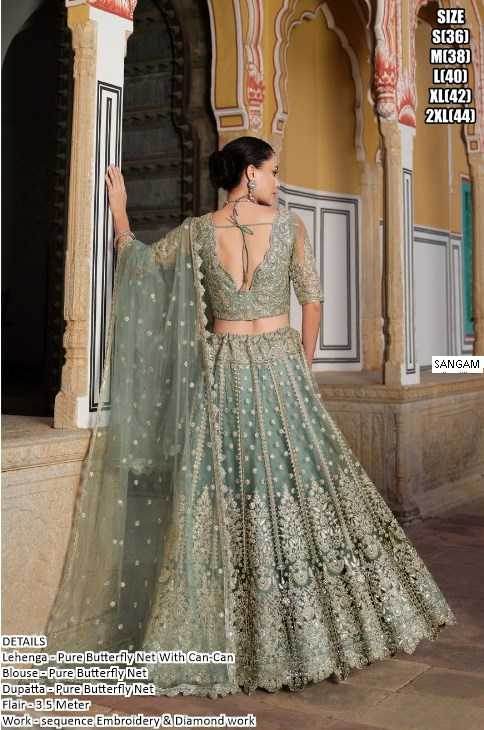 Butterfly Net Designer Lehenga Choli for Elegant Events - MYLUXURY LANE ENTERPRISE